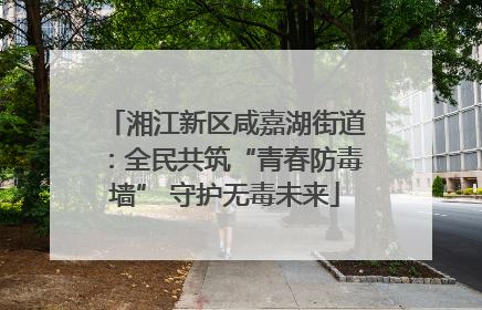 湘江新区咸嘉湖街道：全民共筑“青春防毒墙” 守护无毒未来