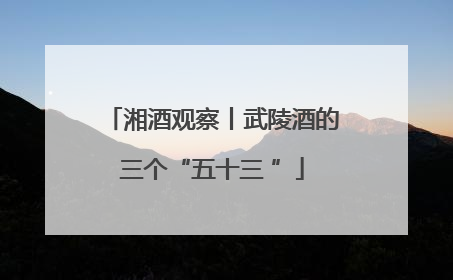 湘酒观察丨武陵酒的三个“五十三 ”