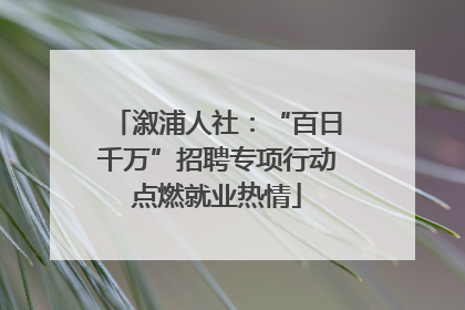 溆浦人社：“百日千万”招聘专项行动点燃就业热情