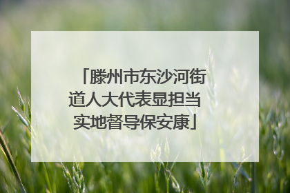 滕州市东沙河街道人大代表显担当实地督导保安康