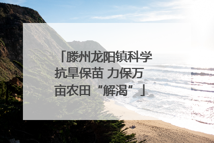 滕州龙阳镇科学抗旱保苗 力保万亩农田“解渴”