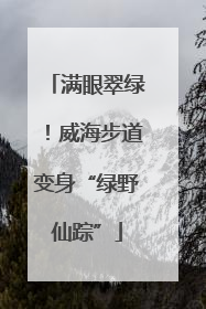满眼翠绿！威海步道变身“绿野仙踪”