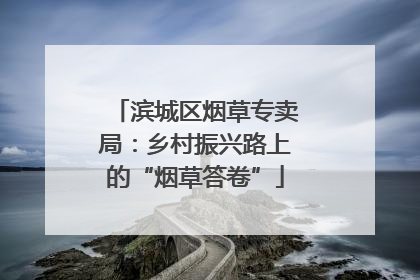滨城区烟草专卖局：乡村振兴路上的“烟草答卷”