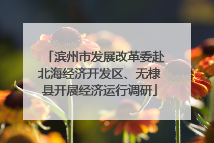 滨州市发展改革委赴北海经济开发区、无棣县开展经济运行调研
