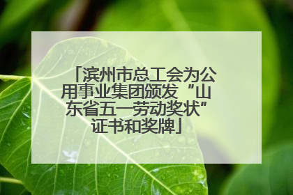 滨州市总工会为公用事业集团颁发“山东省五一劳动奖状”证书和奖牌