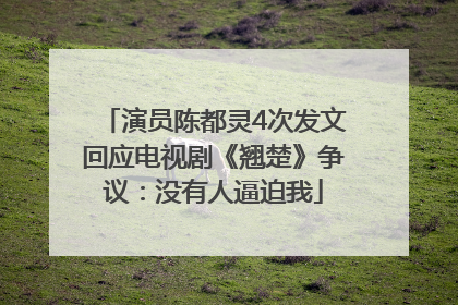 演员陈都灵4次发文回应电视剧《翘楚》争议：没有人逼迫我