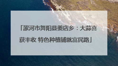漯河市舞阳县姜店乡：大蒜喜获丰收 特色种植铺就富民路