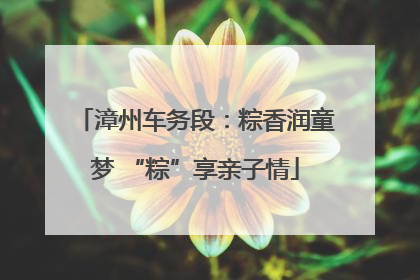 漳州车务段：粽香润童梦 “粽”享亲子情