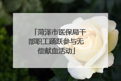 菏泽市医保局干部职工踊跃参与无偿献血活动