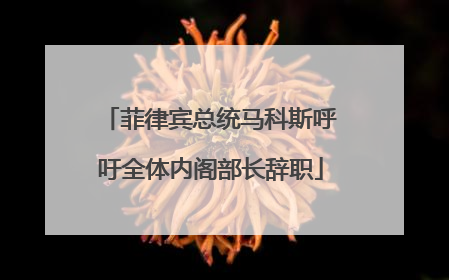 菲律宾总统马科斯呼吁全体内阁部长辞职