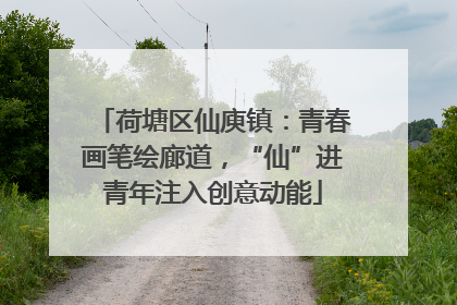 荷塘区仙庾镇：青春画笔绘廊道，“仙”进青年注入创意动能