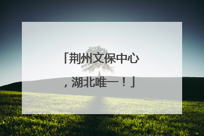 荆州文保中心，湖北唯一！