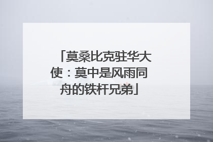 莫桑比克驻华大使：莫中是风雨同舟的铁杆兄弟