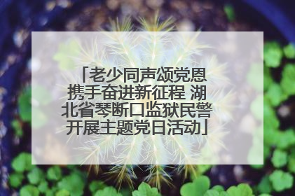 老少同声颂党恩 携手奋进新征程 湖北省琴断口监狱民警开展主题党日活动