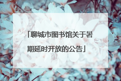 聊城市图书馆关于暑期延时开放的公告