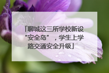 聊城这三所学校新设“安全岛”，学生上学路交通安全升级