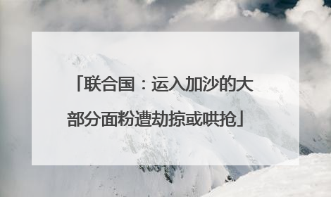 联合国：运入加沙的大部分面粉遭劫掠或哄抢