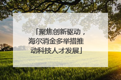 聚焦创新驱动，海尔消金多举措推动科技人才发展
