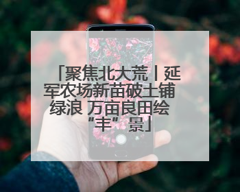 聚焦北大荒丨延军农场新苗破土铺绿浪 万亩良田绘“丰”景