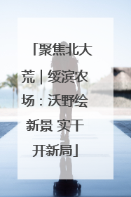 聚焦北大荒｜绥滨农场：沃野绘新景 实干开新局