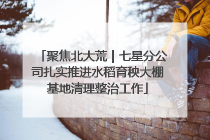 聚焦北大荒｜七星分公司扎实推进水稻育秧大棚基地清理整治工作