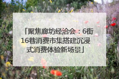 聚焦廊坊经洽会：6街16巷消费市集搭建沉浸式消费体验新场景