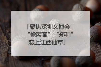 聚焦深圳文博会｜“徐霞客”“郑和”恋上江西仙草