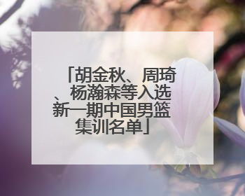 胡金秋、周琦、杨瀚森等入选新一期中国男篮集训名单