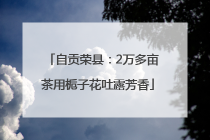 自贡荣县：2万多亩茶用栀子花吐露芳香