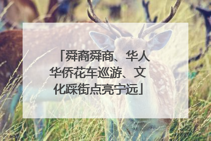 舜裔舜商、华人华侨花车巡游、文化踩街点亮宁远