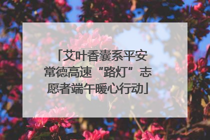 艾叶香囊系平安 常德高速“路灯”志愿者端午暖心行动