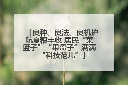 良种、良法、良机护航夏粮丰收 居民“菜篮子”“果盘子”满满“科技范儿”