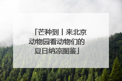 芒种到丨来北京动物园看动物们的夏日纳凉图鉴