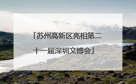 苏州高新区亮相第二十一届深圳文博会