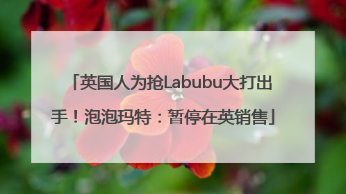 英国人为抢Labubu大打出手！泡泡玛特：暂停在英销售