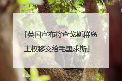 英国宣布将查戈斯群岛主权移交给毛里求斯
