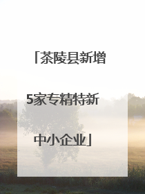 茶陵县新增5家专精特新中小企业