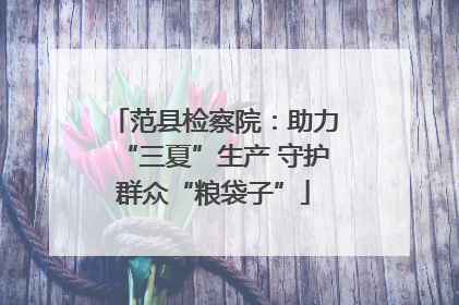 范县检察院：助力“三夏”生产 守护群众“粮袋子”