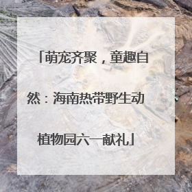 萌宠齐聚，童趣自然：海南热带野生动植物园六一献礼