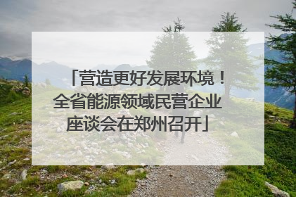营造更好发展环境！全省能源领域民营企业座谈会在郑州召开