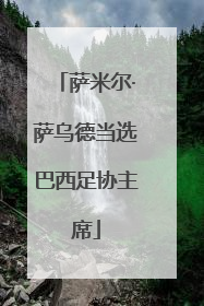 萨米尔·萨乌德当选巴西足协主席