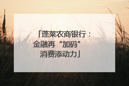 蓬莱农商银行：金融再“加码” 消费添动力