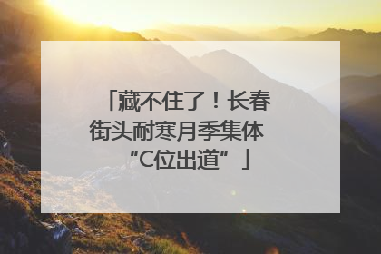 藏不住了！长春街头耐寒月季集体“C位出道”