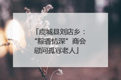 虞城县刘店乡：“粽香情深”商会慰问孤寡老人