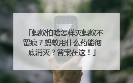 蚂蚁怕啥怎样灭蚂蚁不留痕？蚂蚁用什么药能彻底消灭？答案在这！