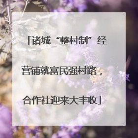 诸城“整村制”经营铺就富民强村路，合作社迎来大丰收