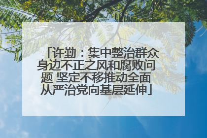 许勤：集中整治群众身边不正之风和腐败问题 坚定不移推动全面从严治党向基层延伸