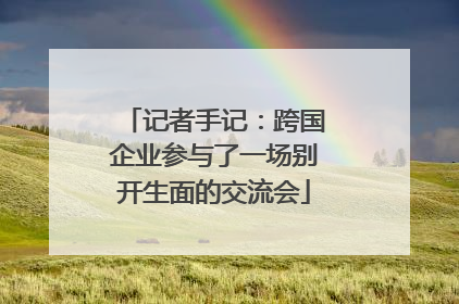 记者手记：跨国企业参与了一场别开生面的交流会