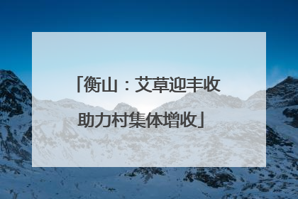 衡山：艾草迎丰收 助力村集体增收