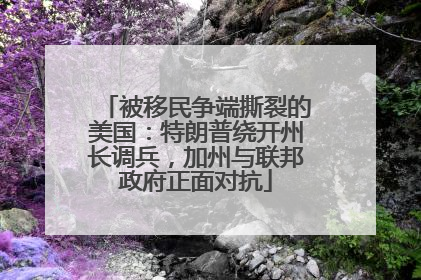 被移民争端撕裂的美国：特朗普绕开州长调兵，加州与联邦政府正面对抗